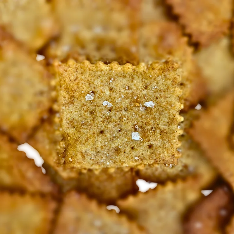 Macro close-up of a Maake cracker with visible flaky sea salt crystals
